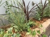 花壇 観葉植物の植え替え 植え込み 受け賜わります