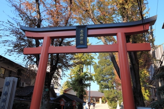 12月初旬の赤城神社　鳥居の朱、木々の黄、楠の緑、空の蒼、そして白い本殿が美しい。