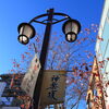 第55回　黄葉さんぽに神楽坂界隈に行ってみよう