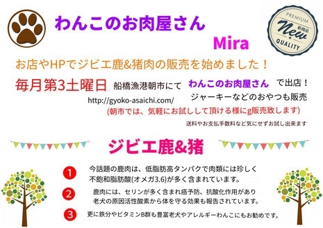 「【船橋漁港の朝市】6月16日(土) 毎月第三、土曜日！！まいぷれブースで」