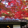 【No.136】　紅葉求めて　～林芙美子記念館～