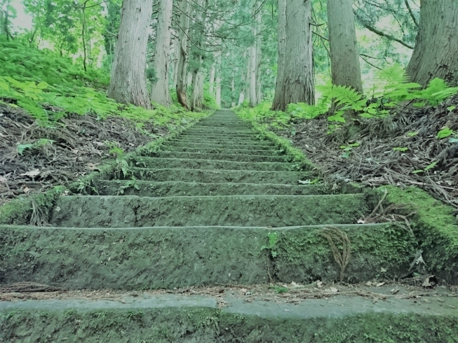 「「なじょな願いも聞きなさる山の神様？」...西会津町”大山まつり”」