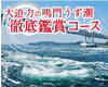 「鳴門の渦潮、大迫力鑑賞ツアー！」