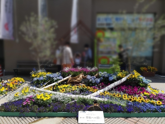 長野市 善光寺花回廊 5日まで まいぷれ長野編集部のニュース まいぷれ 長野市 長野市 善光寺花回廊 5日まで まいぷれ長野編集部のニュース まいぷれ 長野市