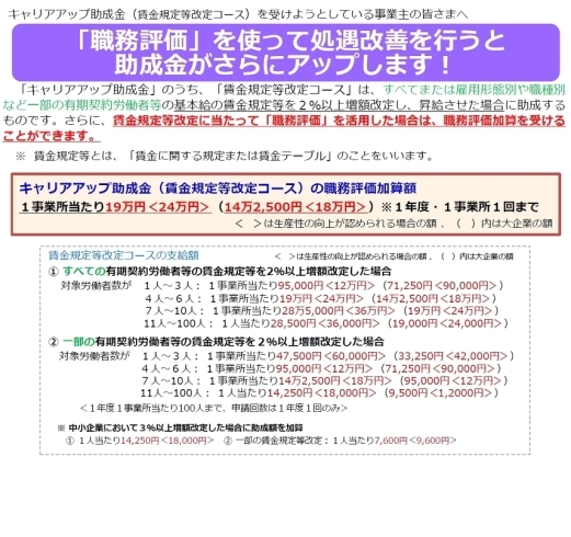 事業主の皆様へ キャリアアップ助成金 賃金規定等改定コース のご案内 ハローワーク布施のニュース まいぷれ 東大阪市