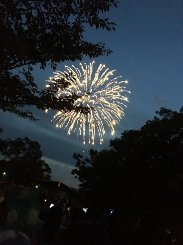 「花火大会の季節がやってきました！　「第42回春日井市民納涼まつり」」