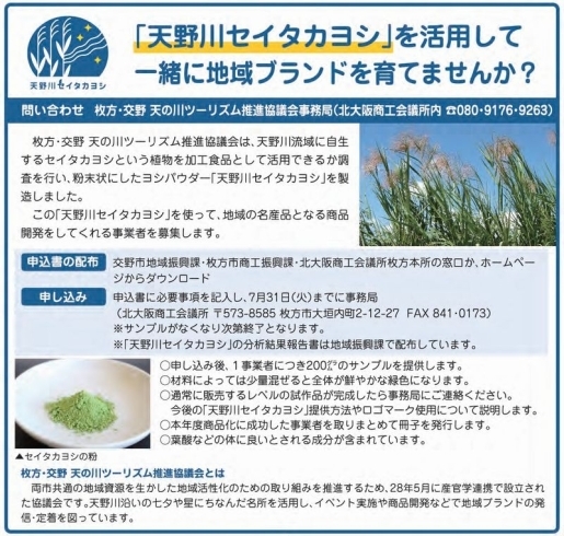 「【サンプル提供有り】「天野川セイタカヨシ」を活用して一緒に地域ブランドを育てませんか？」