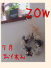 「7月お休みのお知らせ☆」