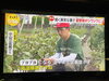 雨…降りませんねぇ…。「☆カラフル野菜の小山農園『newsイット！』無事にオンエア📺☆」