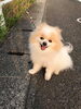 「打つ手はない。 英語で？」