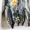 「魚魚市場鮮魚コーナーおすすめ商品は「北海道産ホタテ・トビウオ」です♪」