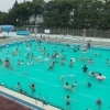 夏だ、暑いぞ、プールに行こう！　川崎市の４か所のプールがオープンしました！！