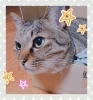 「嬉しい晴れの日♪でも身体にはツラーイ(;´Д`)ﾊｧﾊｧ」