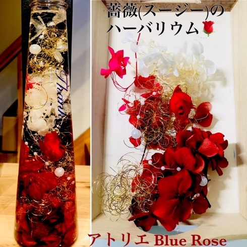 薔薇 スージー のハーバリウム キット 完成品 本日よりより販売 アトリエ Blue Roseのニュース まいぷれ 八戸