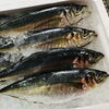 「魚魚市場鮮魚コーナーおすすめは「クエ」「クロムツ・カマス」です♪」