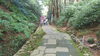 清水寺に向かう石畳。いい運動になりました。「平日の午前中は予約が取りやすくなってます。」