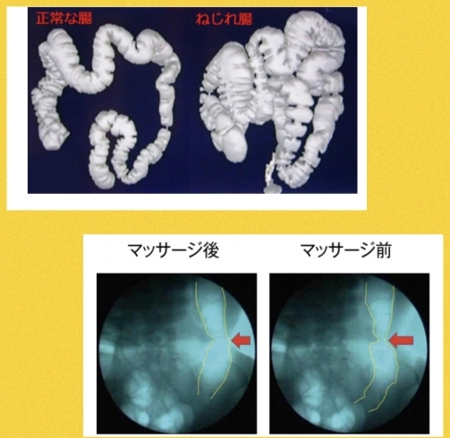 「限定！夏の体験メニューご感想いただきました。　鳥取氣功院イベント」