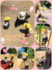 「いっぱい歩こう♡【交野市・小規模保育園】」