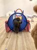 リリーちゃん余裕😃「ましゅまろ幼稚園🐾　パート２」