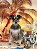 にほ。ちゃん「サンセットビーチ🏖️」