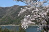 「4月の休館日のお知らせ」