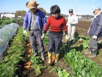 暑い夏の辛い作業の後には、嬉しい収穫が　　待っていました（11/25）