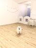 ＣＯＣＯちゃん　はしゃいでますっ「ましゅまろ幼稚園　^ - ^」