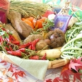 狭山市農業祭で見事な野菜の展示・販売！