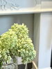 「夏期休業のお知らせ」