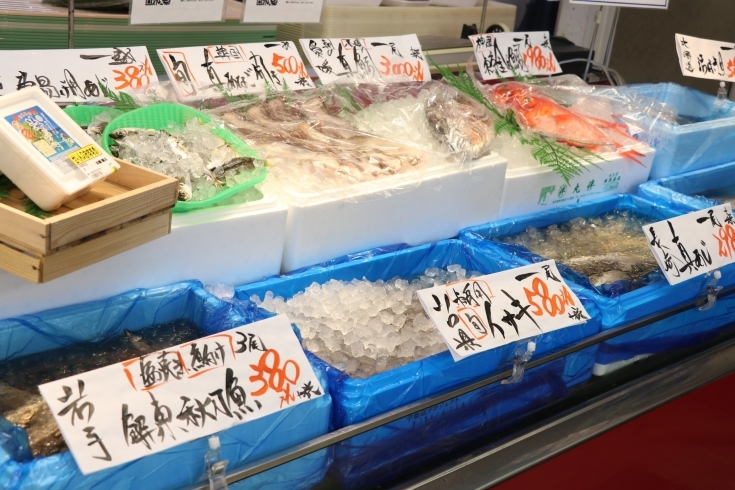 「八千代市、佐倉市の鮮魚店  　勝田台から徒歩10分　 魚や山粋（ヤマスイ）　地魚有ります。」
