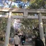 船橋市　山野浅間神社へお参りに行ってきました。