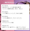 「レジンアクセサリーマイスター講座」