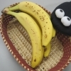 食の安全パトロール　子育て編