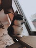「お待ちしてます」