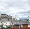 「ラスト1週間頑張ります」
