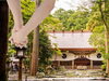 「恋愛成就といえば！「椿大神社」」