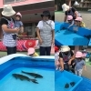 「ふれあい移動水族館」