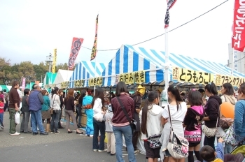 お天気にもめぐまれ、たくさんの来場者が訪れました。