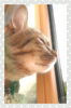 「睡眠の質向上で朝が違う☆そのコツはd(´∀｀)ノ」