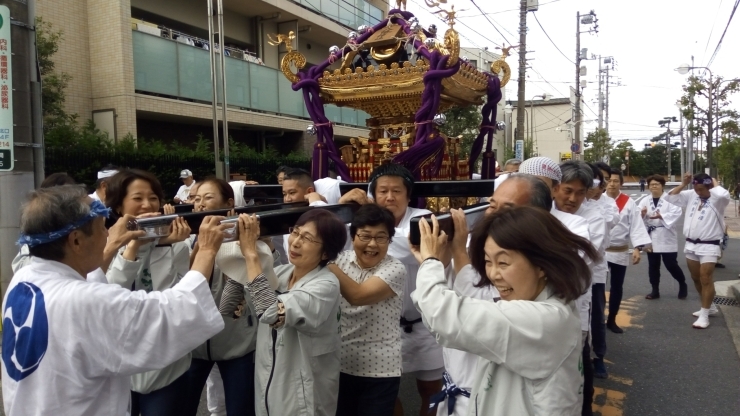 「いよいよ今週末開催！　市川八幡神社のお神輿を担いでみませんか？★　｜【10月7日（日）小雨決行】」