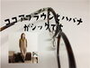 「ココアブラウンとハバナのシックなデザインメガネ」