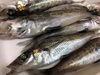 「とろぼっちの刺身 」