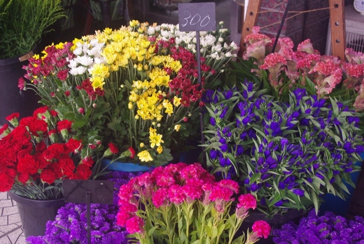 「お彼岸の花予約受付中！！」