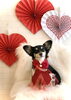 くるみちゃん「Happy Valentine ♡」