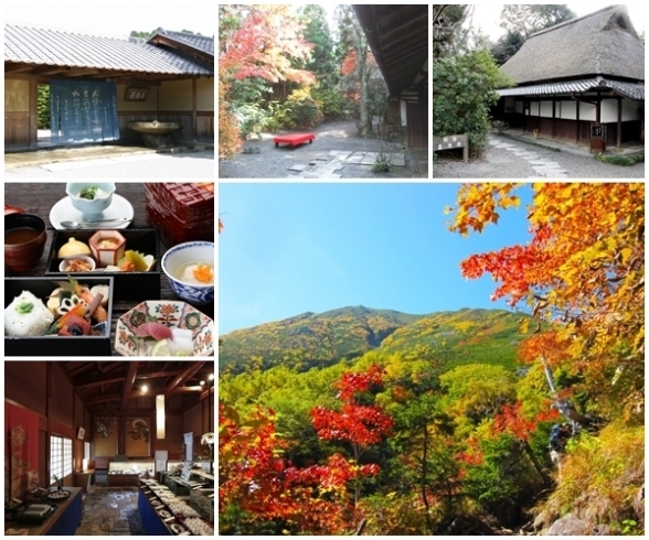 「寿長生の郷で美味しいランチと穏やかな秋の風景を」