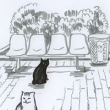 第3景　川崎大師にいる猫たち