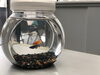 「我が社に癒しスポットができました！」