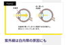 紫外線は白内障の原因とも言われています「色の付かない紫外線・ブルーライト対策レンズのお問い合わせを多数頂いております」