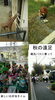 「秋の遠足　１０月の子育て支援事業を掲載しています。１０月３日は恒例の一日動物園です。」