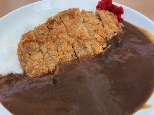 「海を見ながらカツカレー♪」